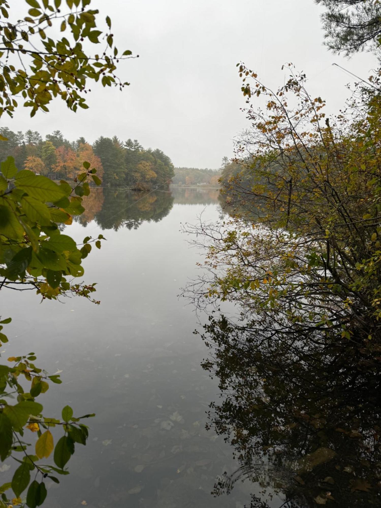 Hideaway Inn Maine Camden Ngoại thất bức ảnh