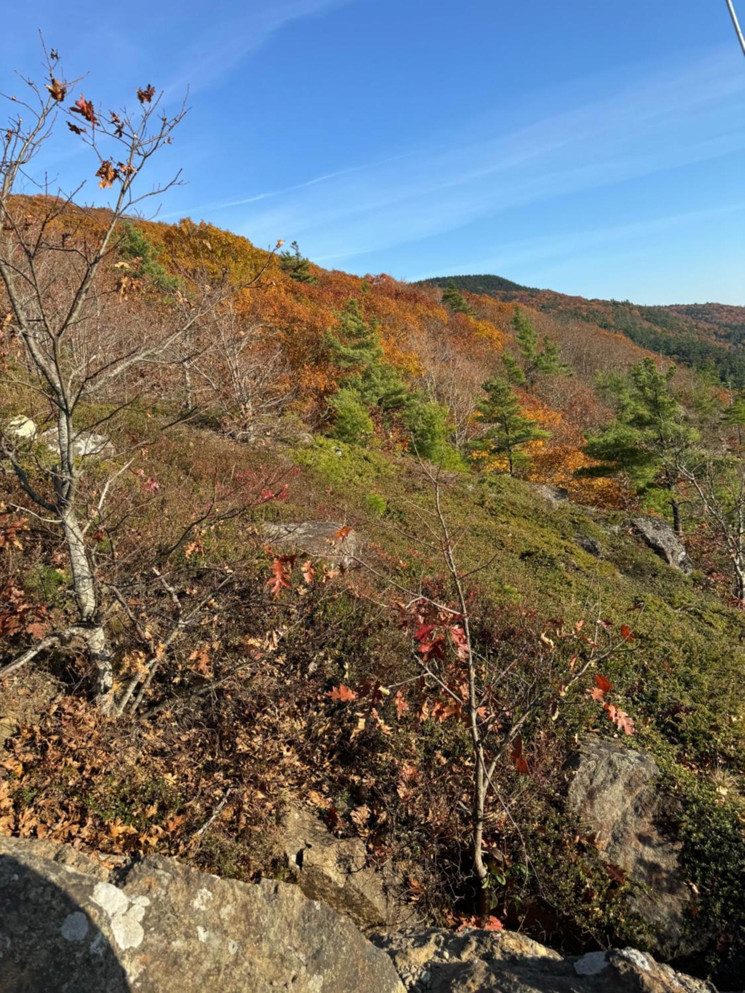 Hideaway Inn Maine Camden Ngoại thất bức ảnh